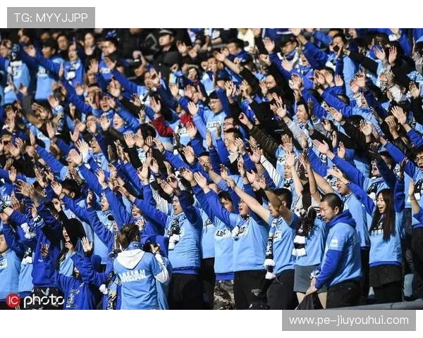 王二哥足球预测准确率分析与未来走势预测报告